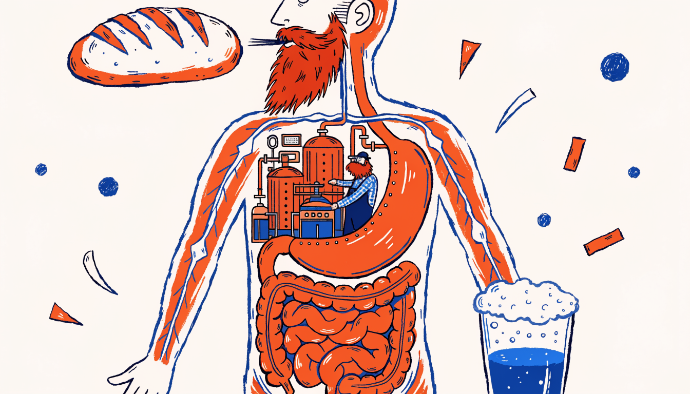 Ilustrație conceptuală a unui stomac uman cu bule de fermentație